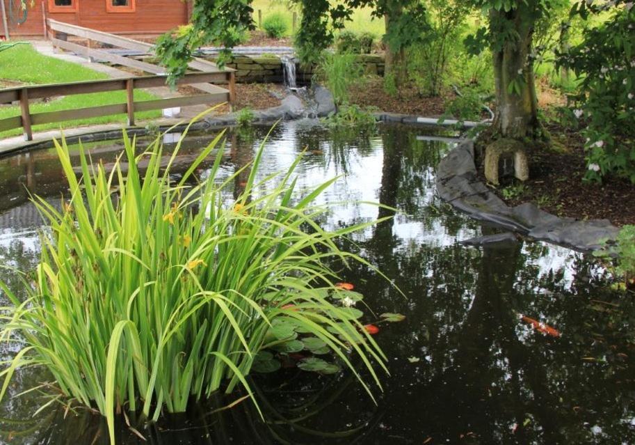 Hotel Zum Buchenberg Санкт Вит Экстерьер фото